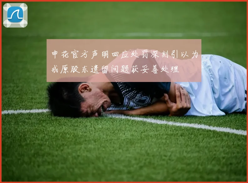 申花官方声明回应处罚深刻引以为戒原股东遗留问题获妥善处理