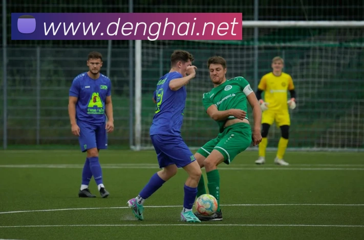 必一运动平台生态图